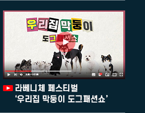 라베니체 페스티벌 \'우리집 막둥이 도그패션쇼\'. 