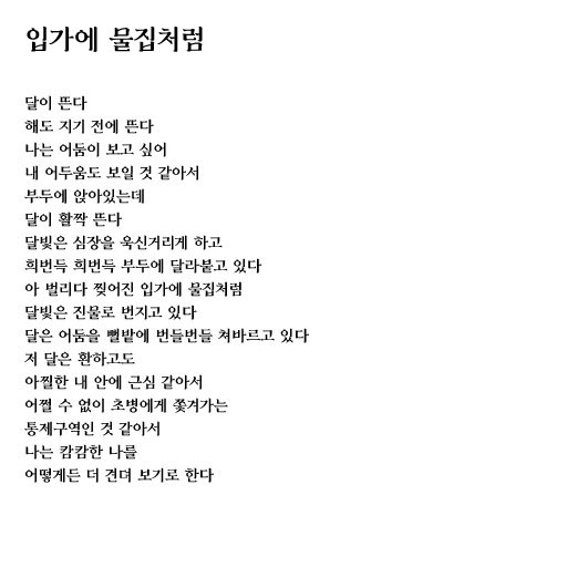 입가에 물집처럼