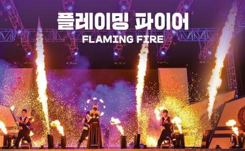 플레이밍 파이어 FLAMING FIRE